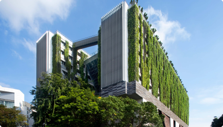 EcoCampus: Зелёный университет